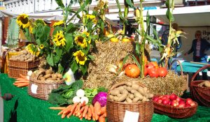 Herbsttag